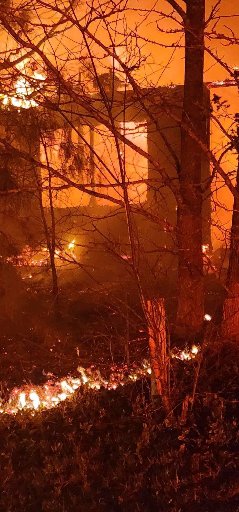 Parksley Structure Fire Forest
